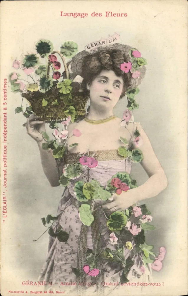 Sprache der Blumen — GÉRANÉUM — Phototype A. Bergeret et Cie, Nancy - Vorderseite