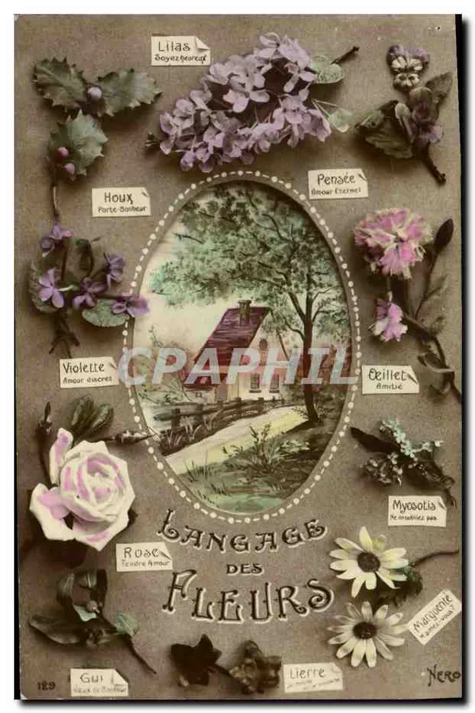 Lenguaje de las Flores — Néro, n°189 - Anverso