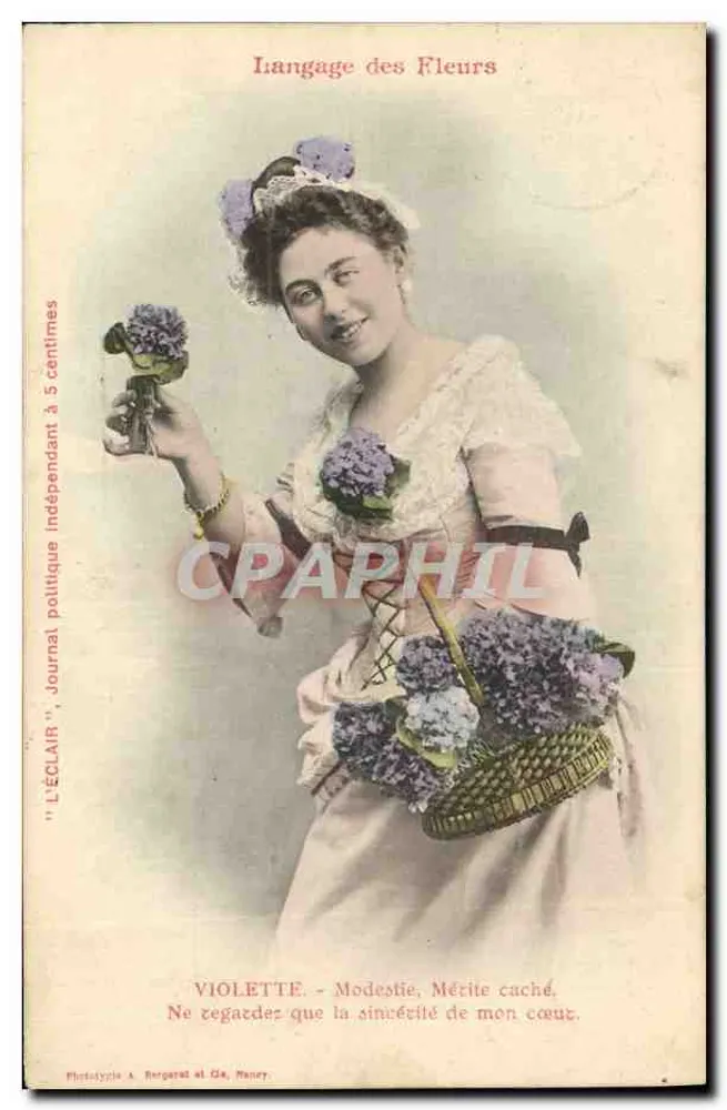 Violette — Bescheidenheit, verborgener Verdienst — Phototypie A. Bergerat & Cie, Nancy - Vorderseite