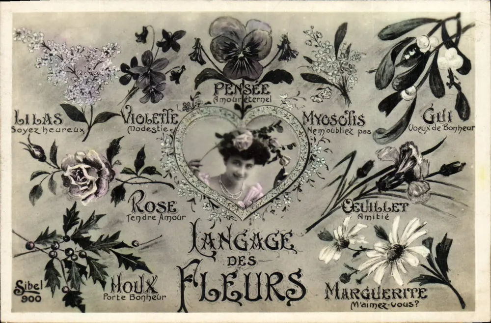 Linguagem das Flores — Sibel 900 - Frente