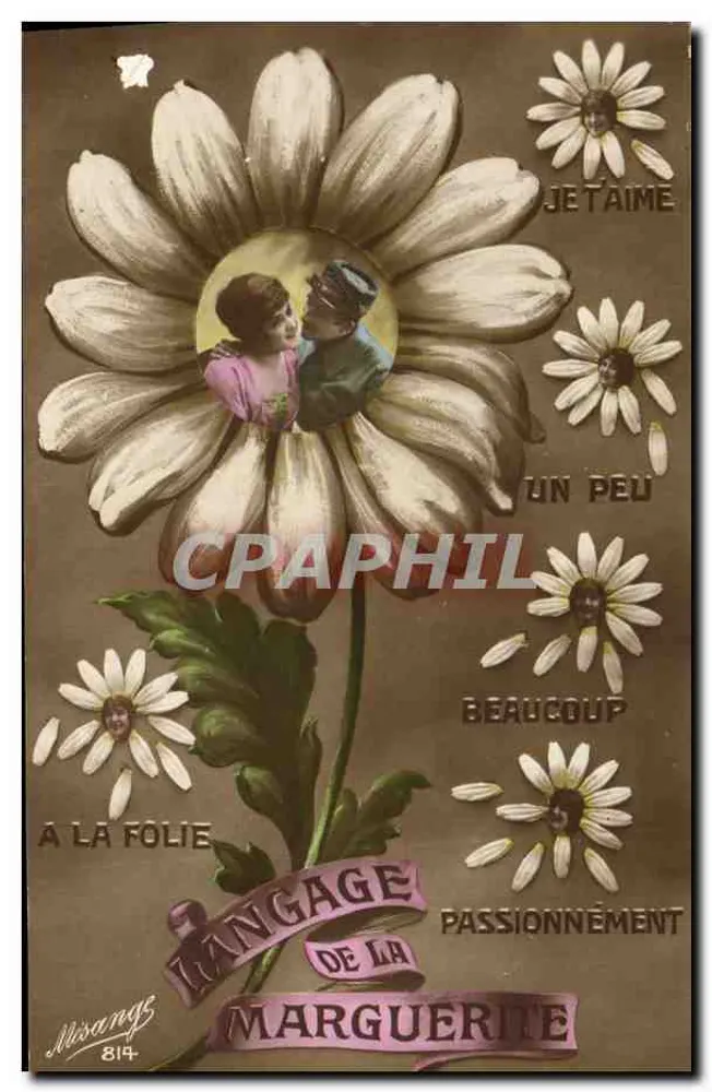 Marguerite — Sprache der Margerite — Misangé, n°814 - Vorderseite