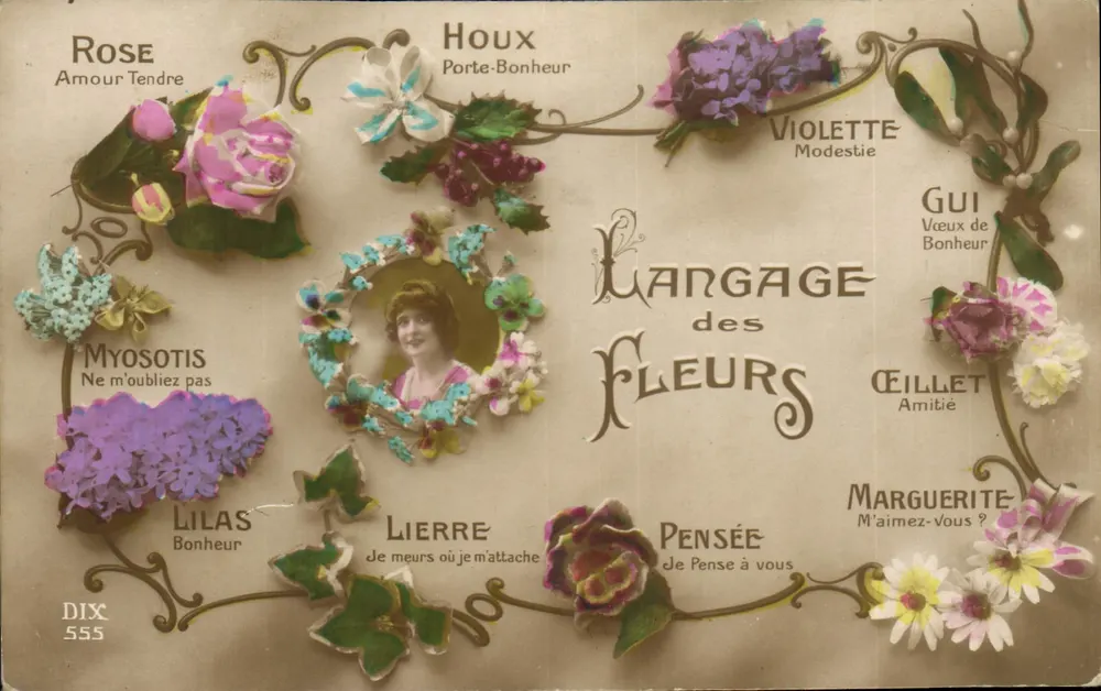 Lenguaje de las Flores — DIX 555 — Editor no visible - Anverso