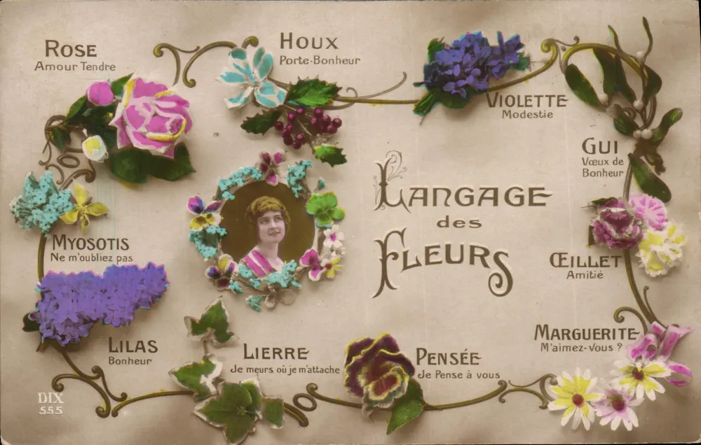 Lenguaje de las Flores — DIX 555 - Anverso