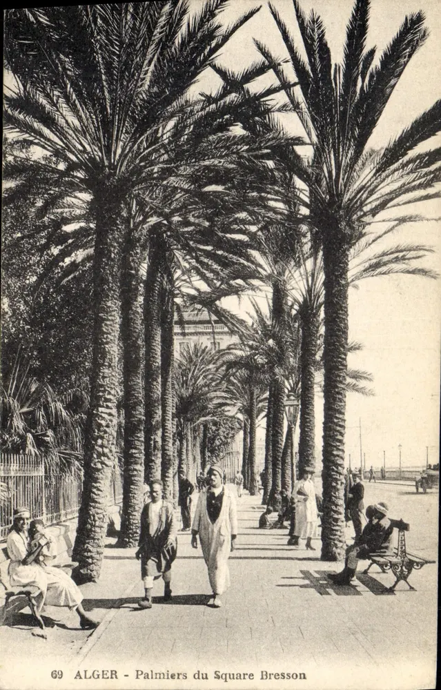 ALGER - Palmen des Platz Bresson — n° 69 — Edition L. & Y. Alger - Vorderseite