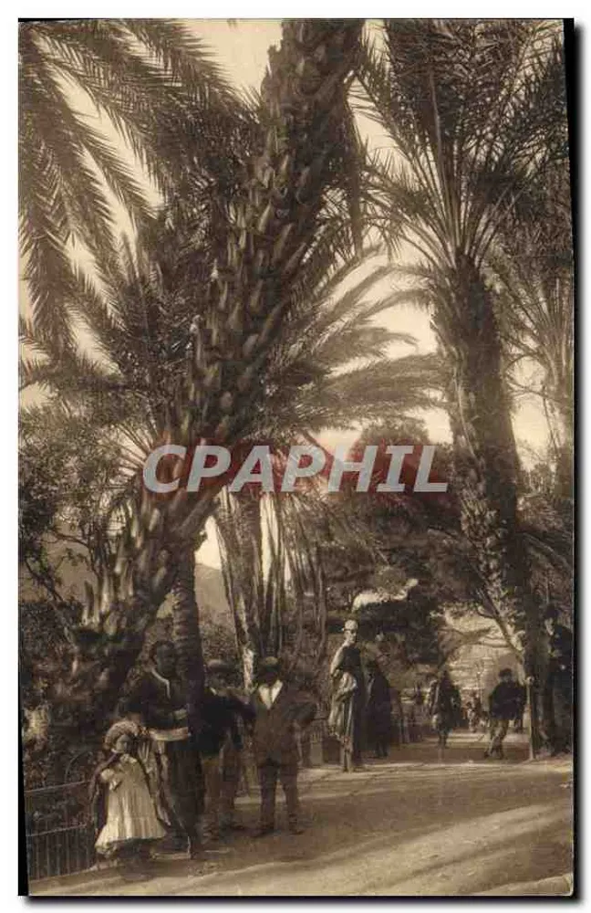Oran — Die Promenade vom See aus — Verlag LL, Nr. 7 - Vorderseite
