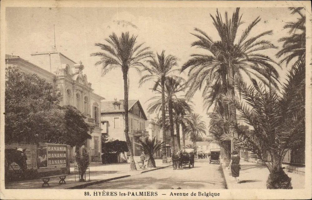 Hyères-les-Palmiers — Avenue de Belgique — Verlag Banania, n° 80 - Vorderseite
