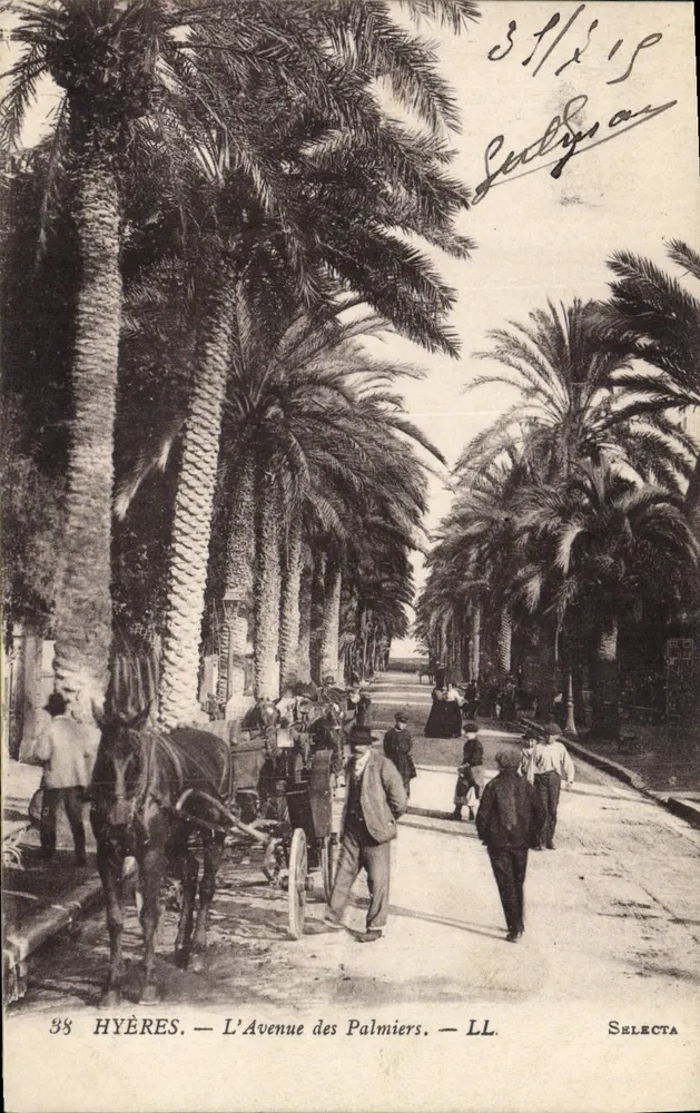 Hyères — Die Avenue des Palmiers — Selecta - Vorderseite