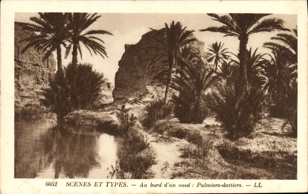 Am Rand eines Wadis: Dattelpalmen — SCENES ET TYPES — LL — Nr. 6052 - Vorderseite