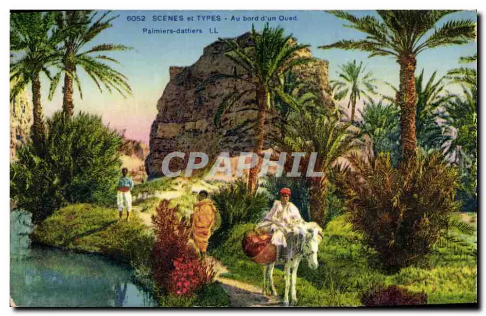 Am Rand eines Oued — Dattelpalmen — SCENES et TYPES Nr. 6052 LL - Vorderseite