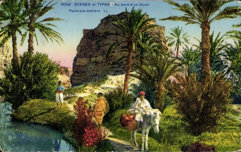 Am Rand eines Wadis — Dattelpalmen — SCÈNES et TYPES LL n°6052 - Vorderseite