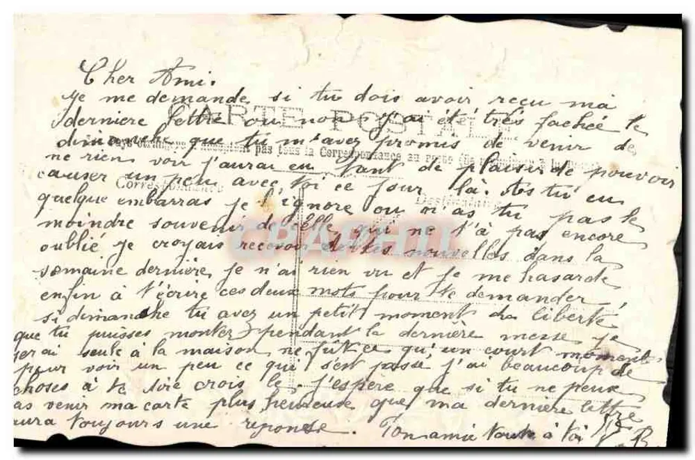Flores azuis e samambaias — carta postal antiga — editor não visível - Verso