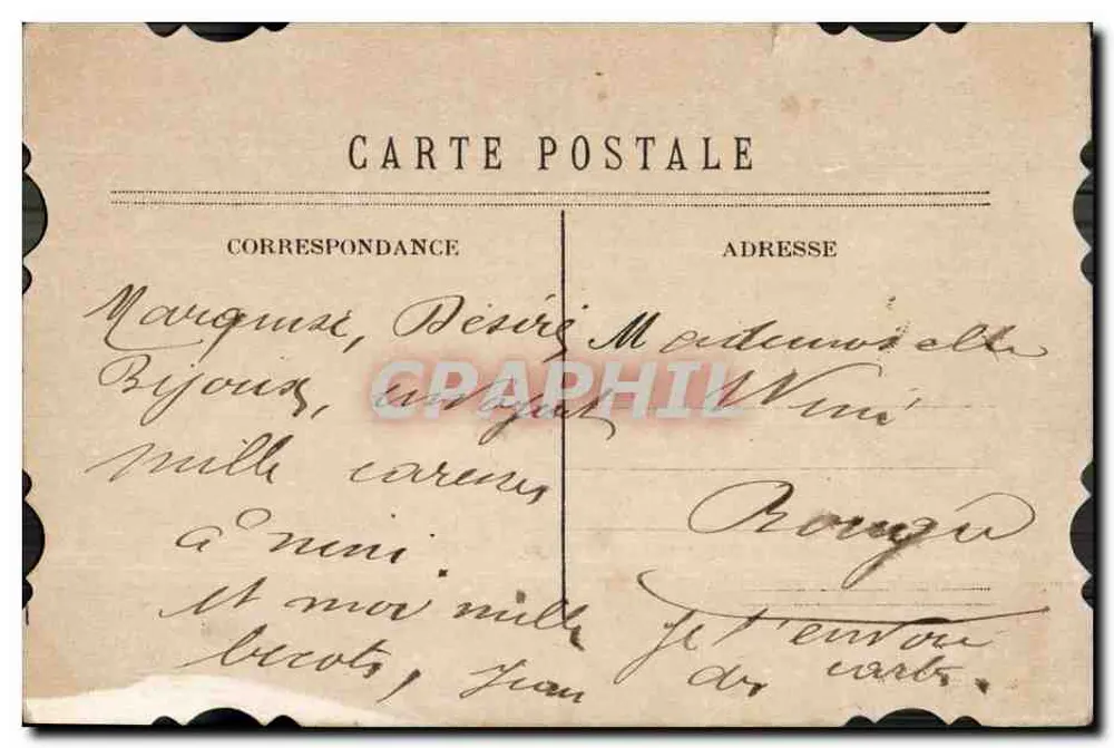 Pomba branca carregando um cesto de rosas — editor não visível - Verso