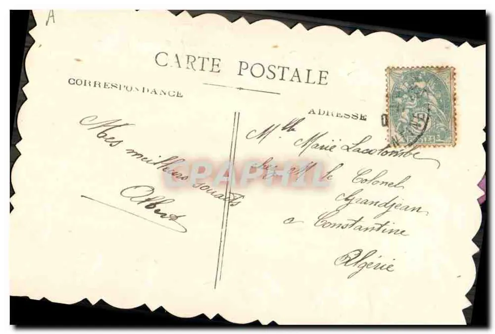 Fleur de primevère — carte postale avec texte imprimé et signature 'Albert' - Verso