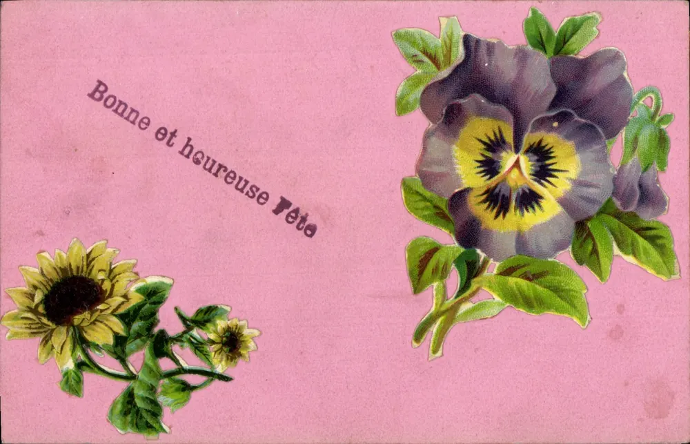 Kwiaty — Pansy i słońce gwiezdne — kartka pocztowa - Awers