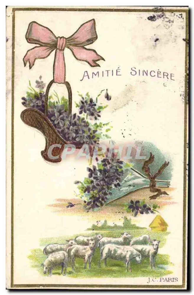 Lavanda e ovelhas — Amizade sincera — J.C. PARIS - Frente