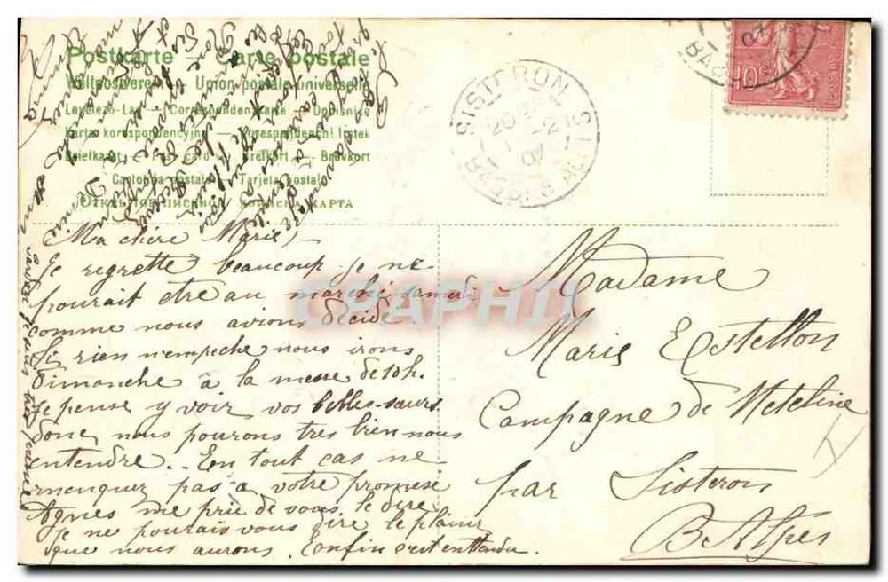 Pássaros e margaridas — 'Apressado, um bom souvenir' — República Francesa - Verso
