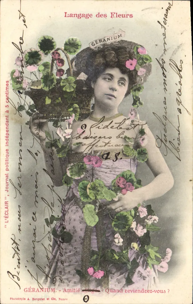 Sprache der Blumen — GÉRANIMUM — Phototype A. Bergeret et Cie, Nanci — n° 0 - Vorderseite