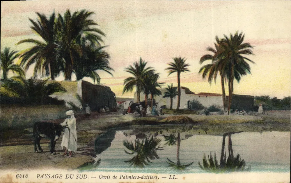 Südländisches Landschaftsbild — Oasis der Dattelpalmen — LL. — N° 6414 - Vorderseite