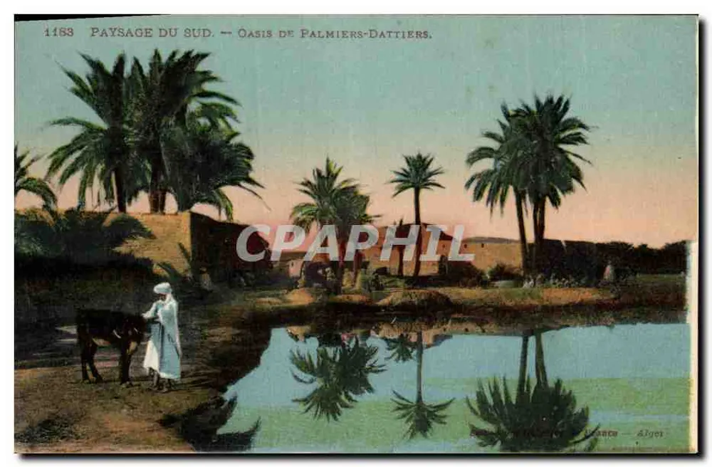 Landschaft des Südens — Oasis der Dattelpalmen — Verlag: Frankreich, Alger - Vorderseite