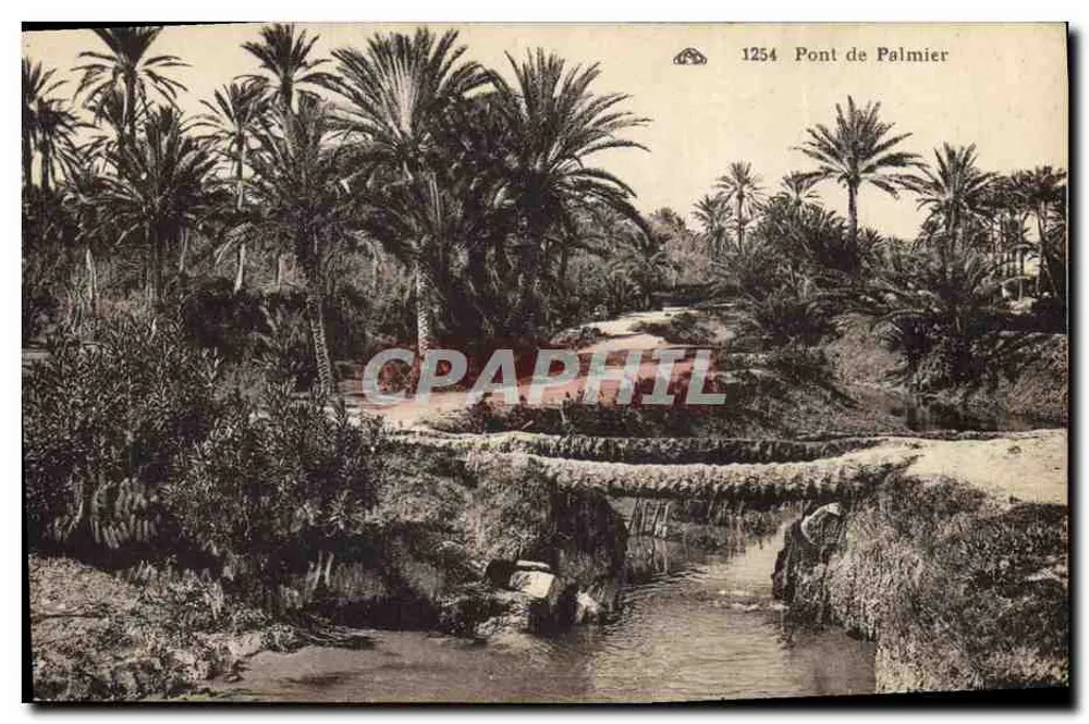 Ponte de Palmier — vista do ponte de pedra no meio de um paisagem de palmeiras — editor: Almanach des Arts Édouardaniques, Strasbourg - Frente