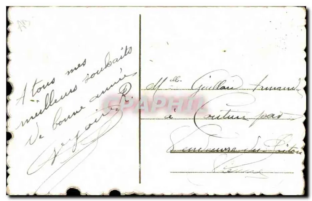 Arranjo de violetas — Boa Ano — editor desconhecido - Verso
