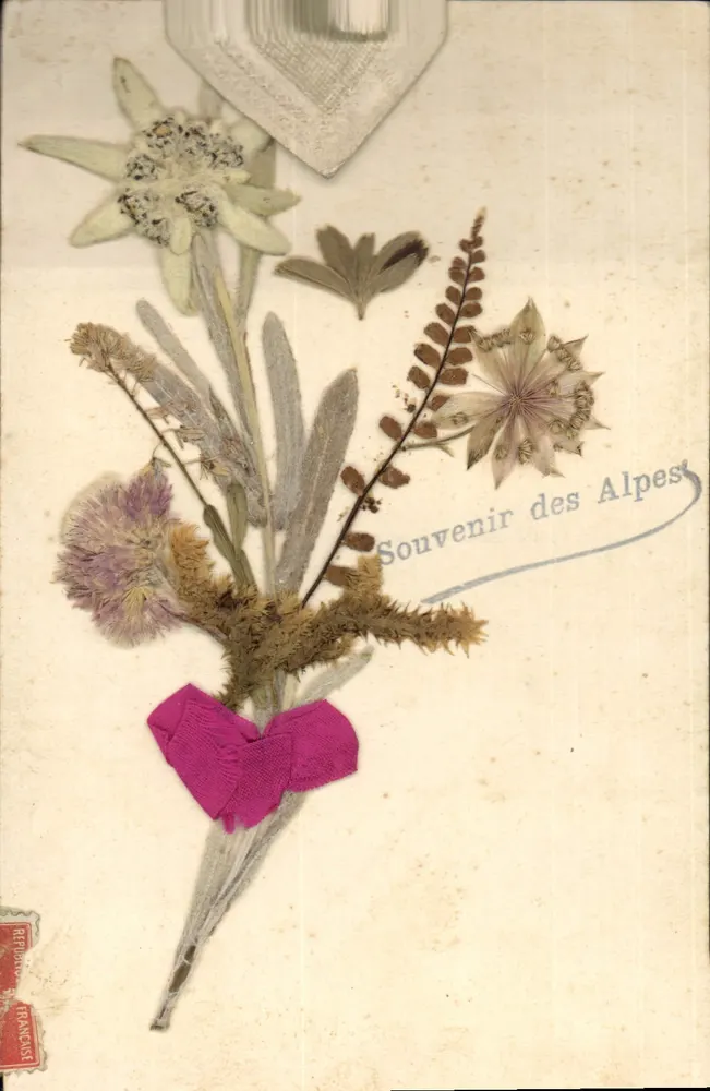 Arranjo de flores secas — Lembrança das Alpes — República Francesa - Frente