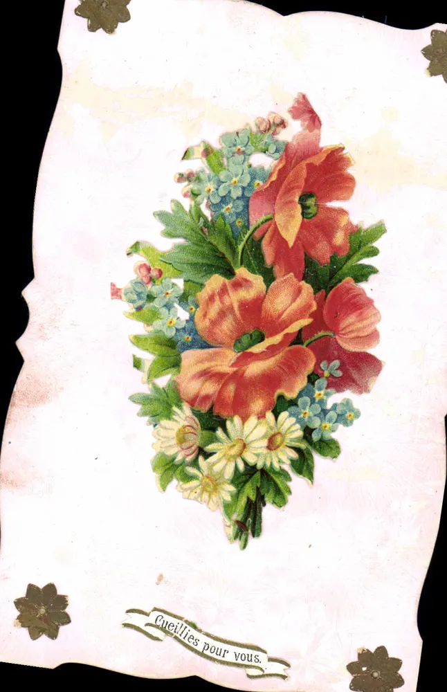 Bouquet de flores — 'Cueillies pour vous.' — Carte postale - Frente