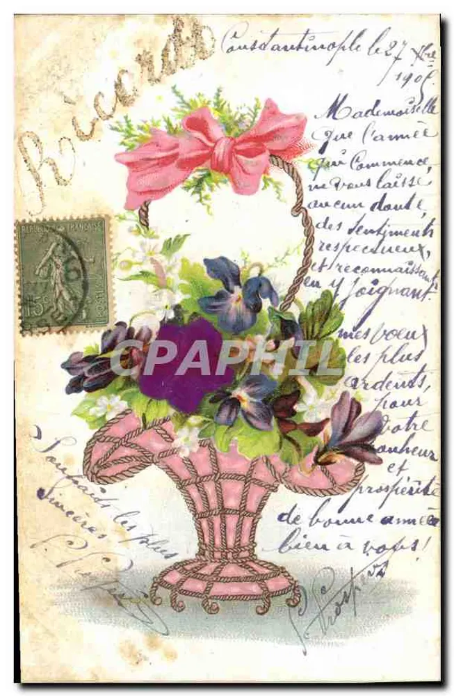 Arranjo de flores em um cesto rosa — Constantinopla — editor não visível - Frente