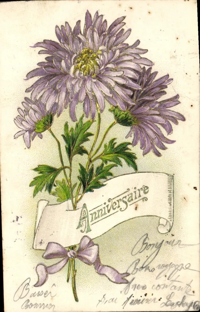 Arranjo de crisântemos violetas — Aniversário — Bavier Bonnier - Frente
