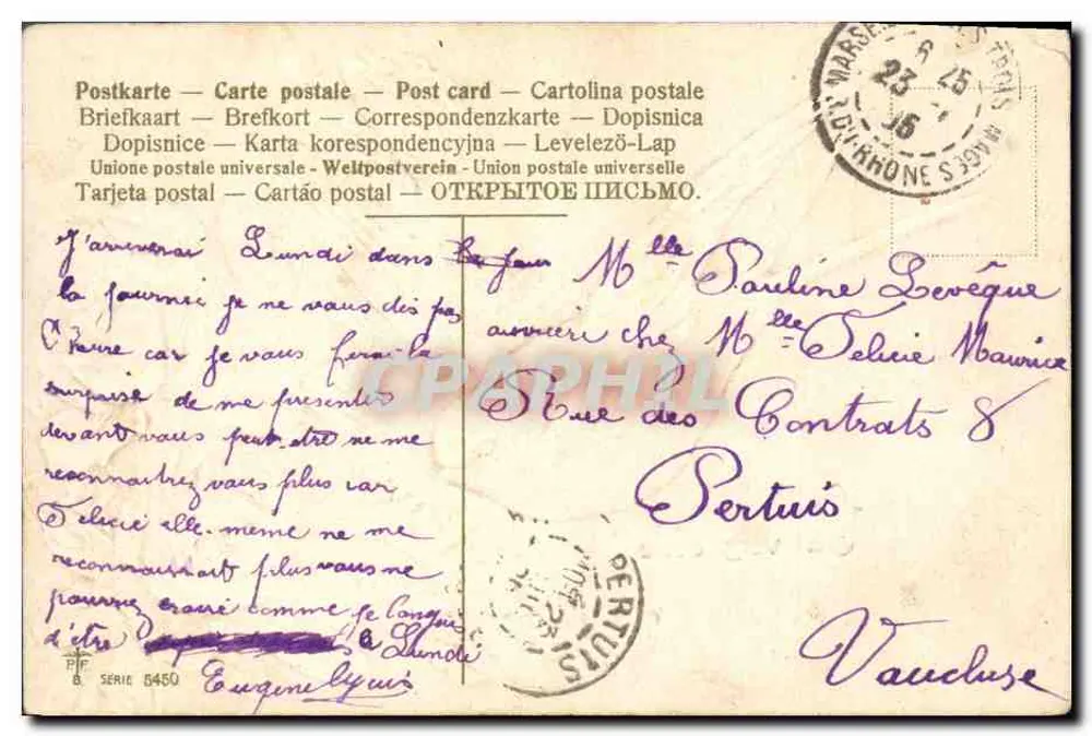 Vogel mit Brief — Rosen — Verleger unbekannt, Serie 8450 - Rückseite