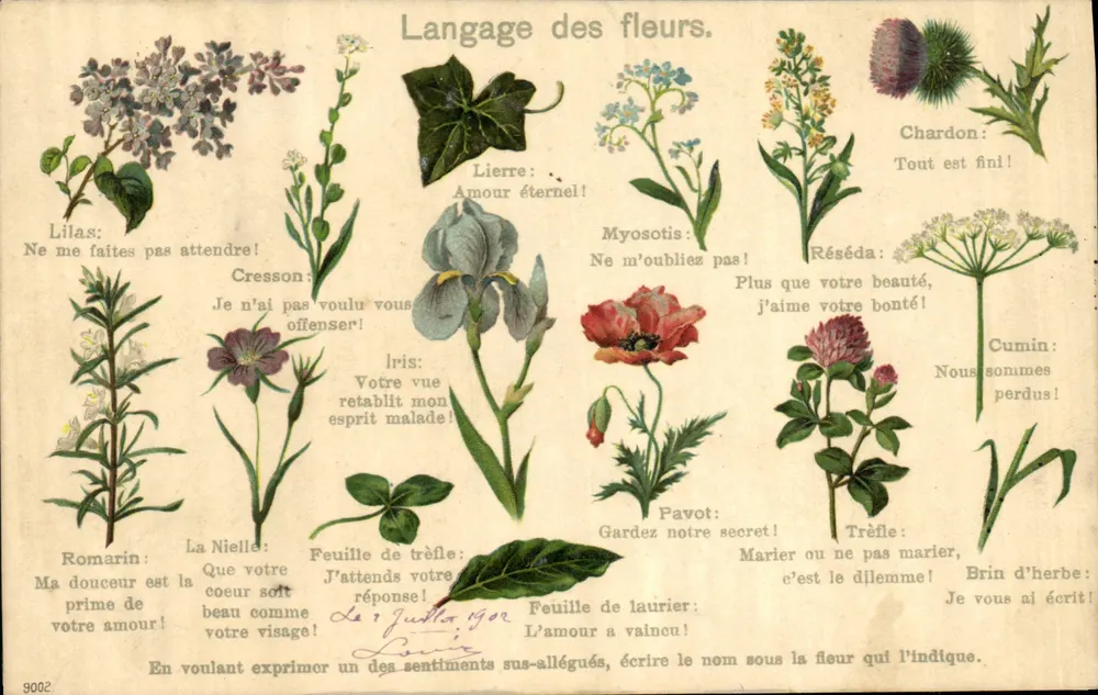 Linguaggio dei fiori — Carta illustrata di fiori con messaggi simbolici — Editore non identificato, n° 9002 - Recto