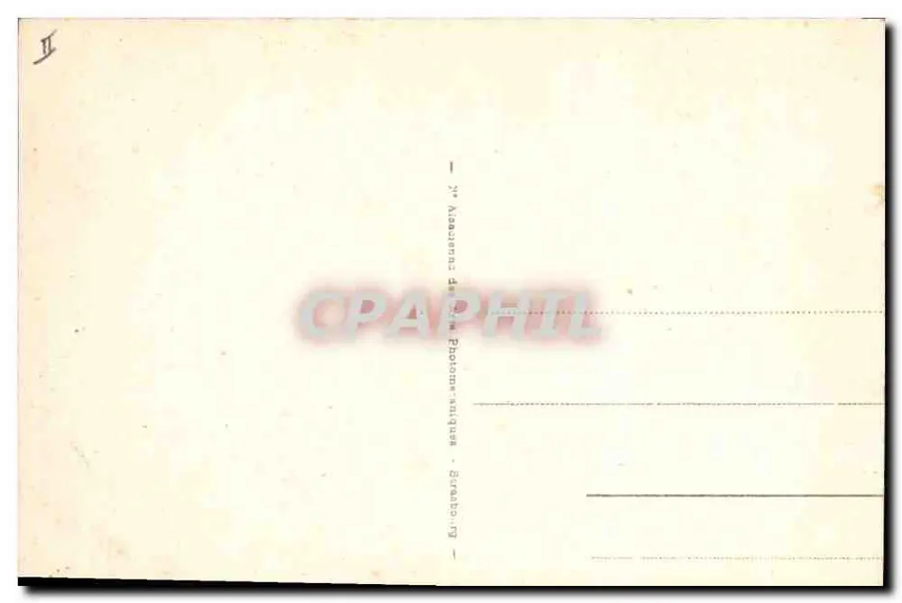 Dattenernte — Serie 1272 — A. Alasciana de la Photo-antique, Brüssel - Rückseite