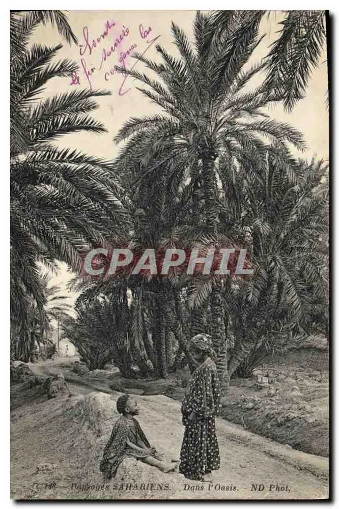 Sahara-Bäuerinnen. In der Oase. ND Fotografie. - Vorderseite