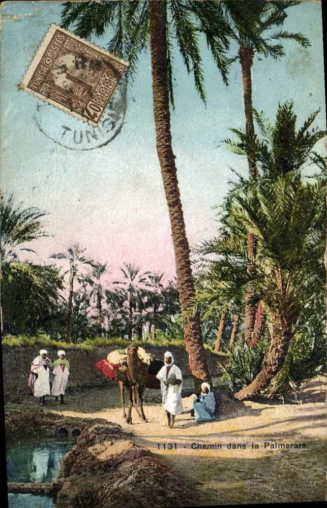 Chemin dans la Palmeraie — vue de palmiers et d'un chameau — éditeur C. Alsacienne des Arts, Strasbourg, n° 1131 - Vorderseite