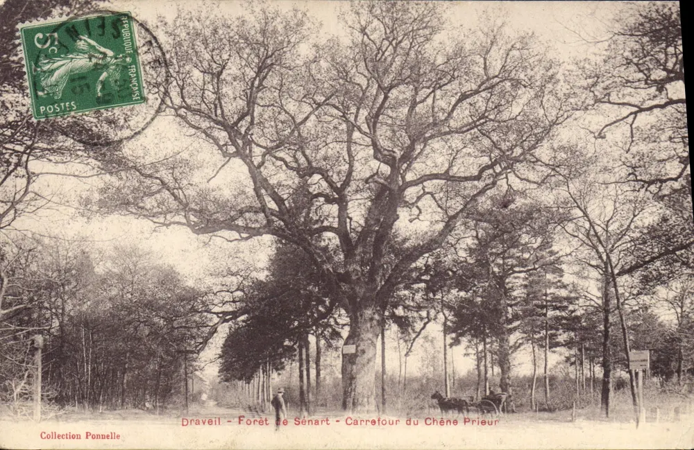 Draveil - Forêt de Sénart - Carrefour du Chêne Prieur — Collection Ponnelle - Vorderseite