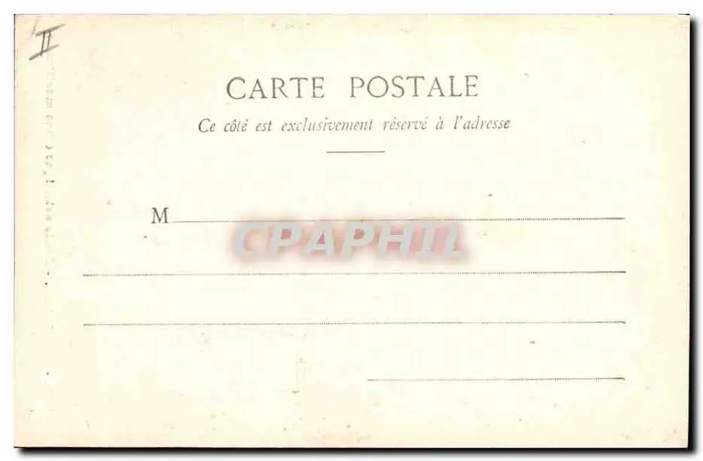 Beaulieu - Künstlerische Studie (Meereskiefern) - Giletta-Ausgabe, phot., Nice - Rückseite
