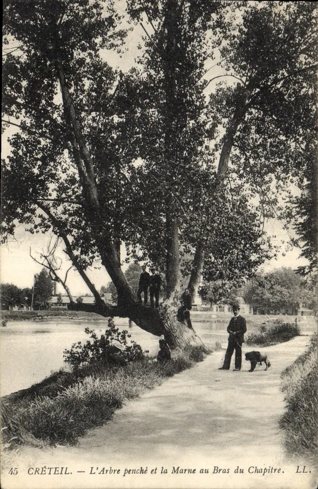 Créteil — Der geneigte Baum und die Marne am Bras du Chapitre — LL. - Vorderseite