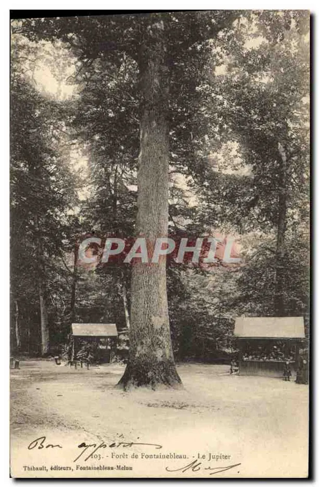 Foresta di Fontainebleau - L'Urano — Thibault, editori, Fontainebleau-Melun - Recto