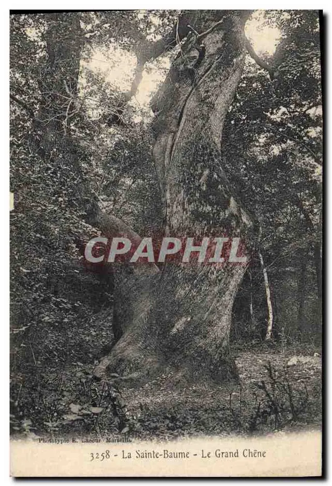 La Sainte-Baume - Le Grand Chêne — Phototypie E. Casour Marseille, n° 3258 - Vorderseite