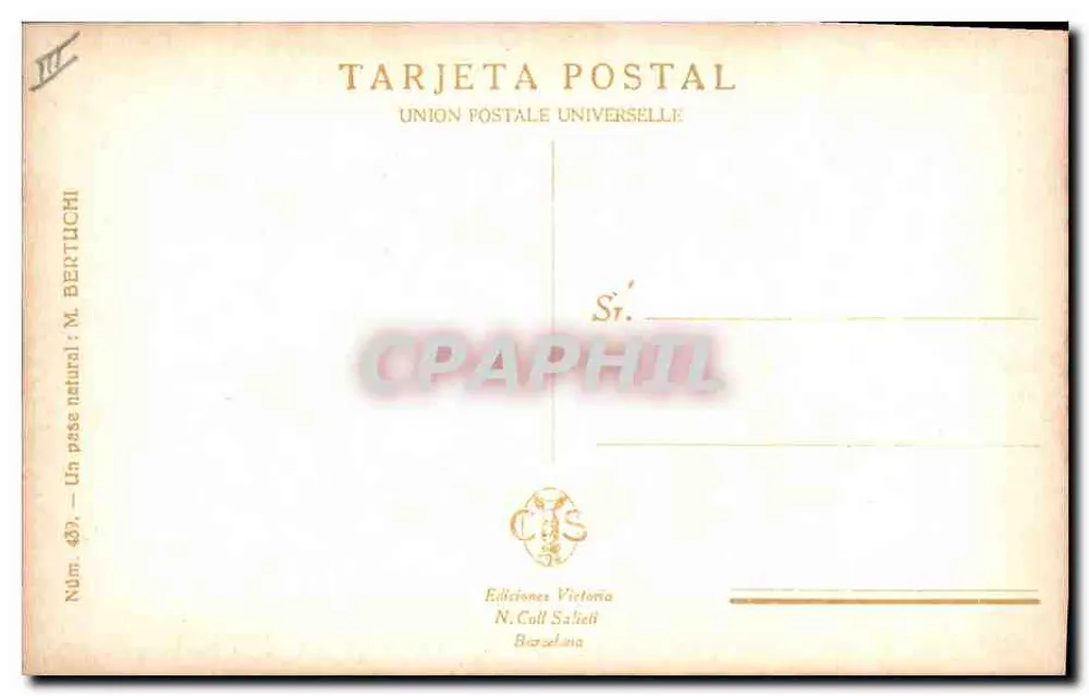 Torero e touro — cena de corrida — Éditions Victoria, N. Coll Saltet, Barcelone, n° 439 - Verso