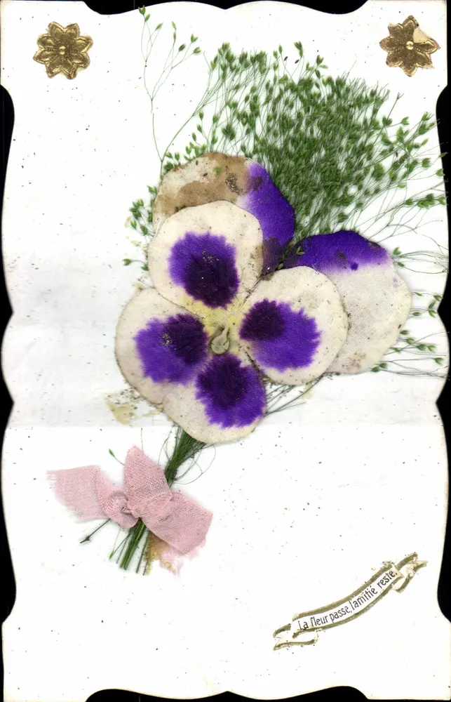 Arranjo de flor seca — texto impresso e decorativo — editor desconhecido - Frente