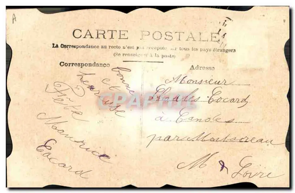 Arranjo de flor seca — texto impresso e decorativo — editor desconhecido - Verso