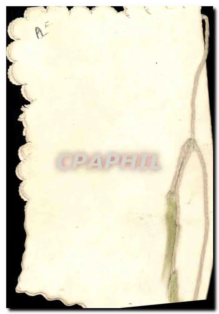 Bom aniversário — carta decorativa com rosas — sem editor ou número visível - Verso