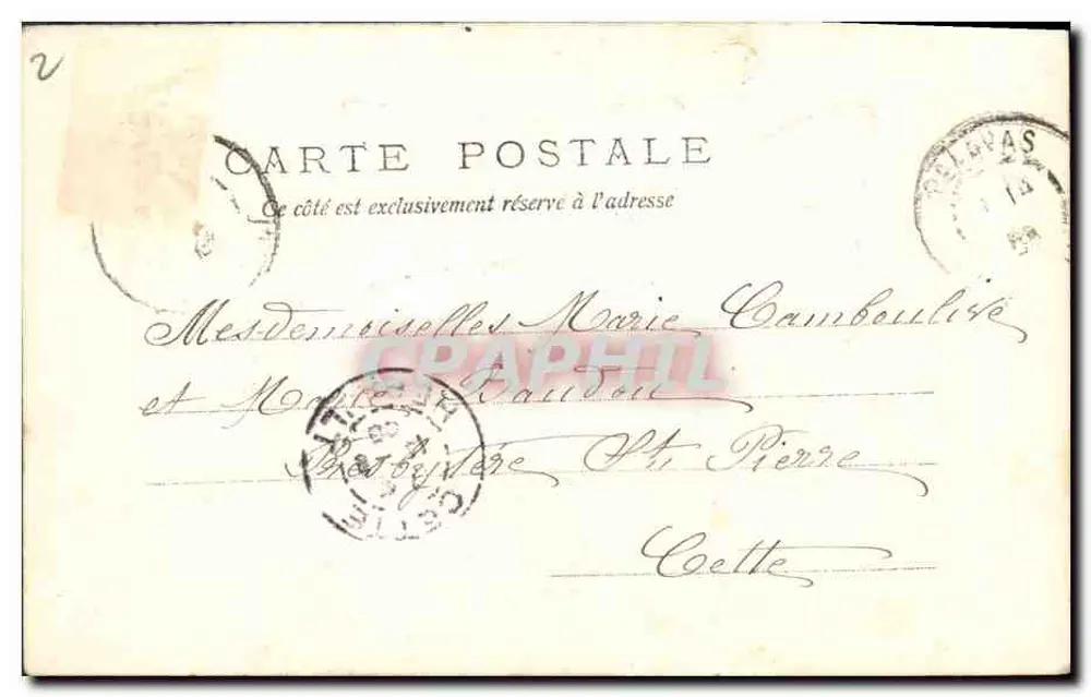 Flores violetas — Carta de vœux — Editor desconhecido, número de série não visível - Verso