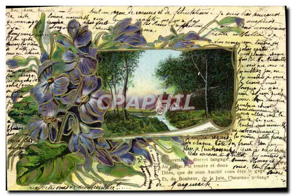 Violetas — paisagem florestal — editor não identificado - Frente