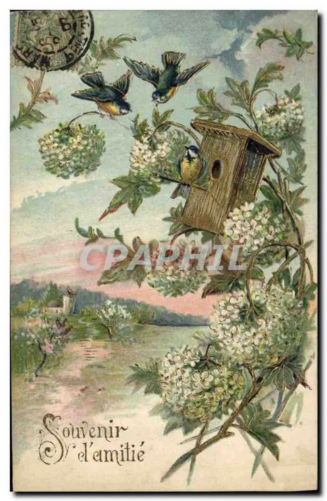 Paisagem com pássaros e ninho — Lembrança de amizade — editor não visível - Frente