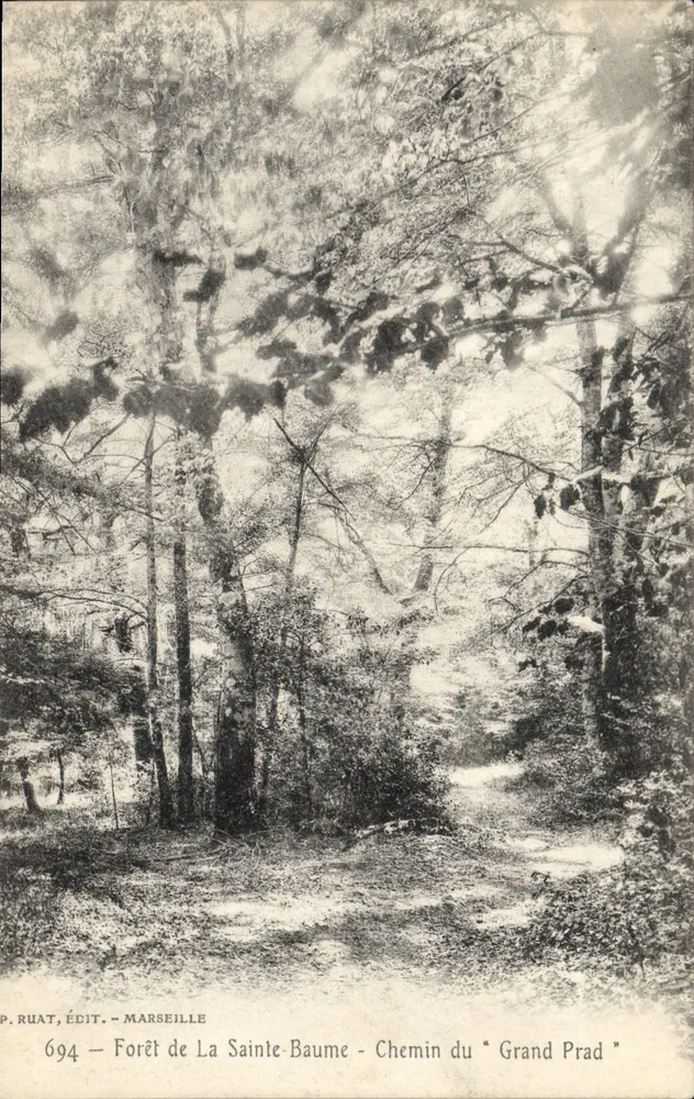 Forêt de La Sainte-Baume - Weg des "Grand Prad" — P. Ruat, Verlag, Marseille, Nr. 694 - Vorderseite