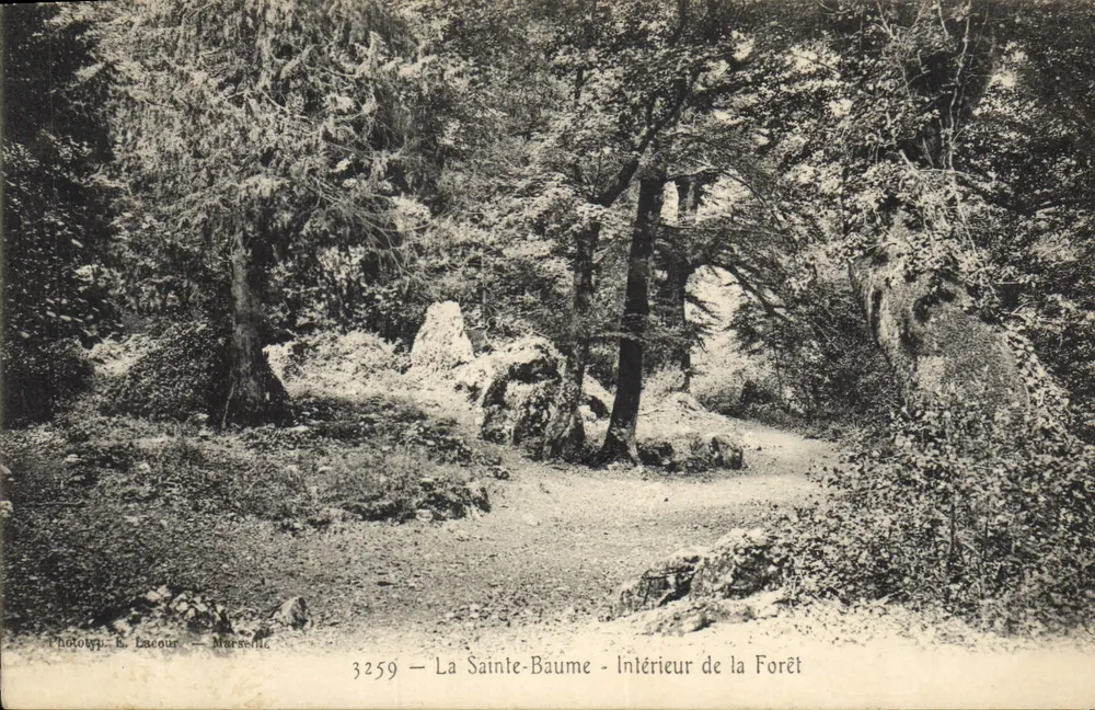 La Sainte-Baume — Interior da Floresta — Fototip. E. Lacour — Marselha, n° 3259 - Frente