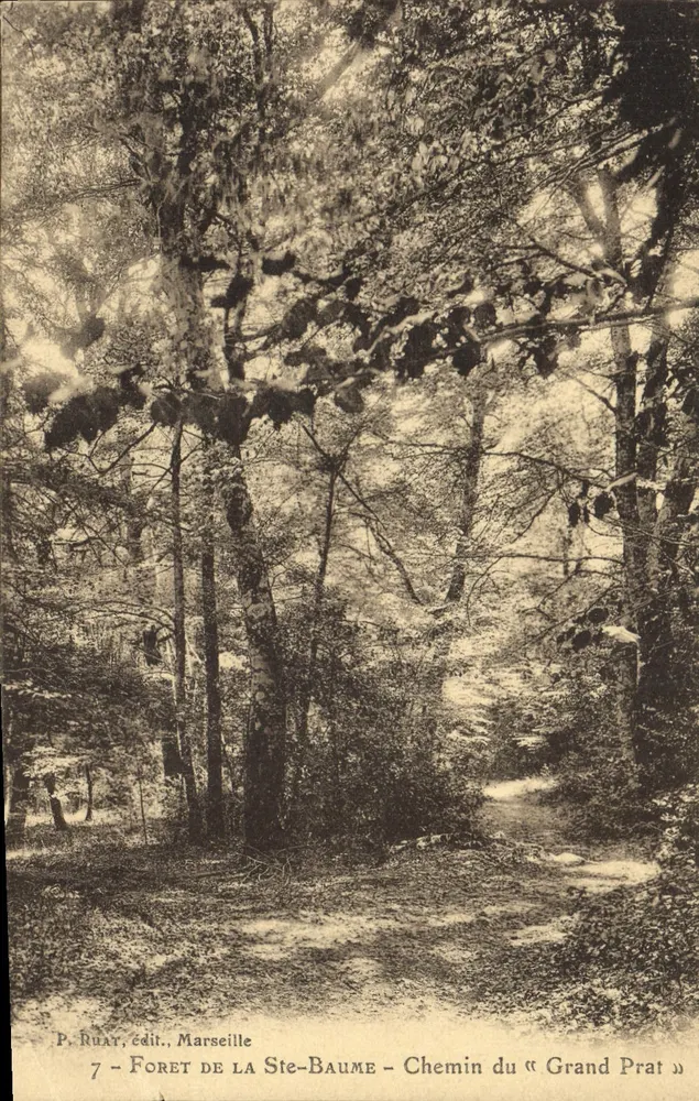Forêt de la Ste-Baume — Chemin du « Grand Prat » — P. Ruat, édit., Marseille - Vorderseite