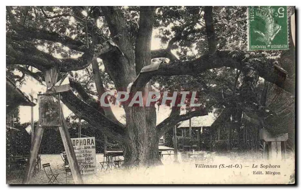 Villennes (S.-et-O.) — Le Sophora — Edit. Mirgon - Frente